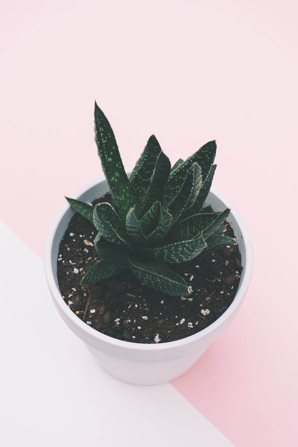 Startups e Empreendedores